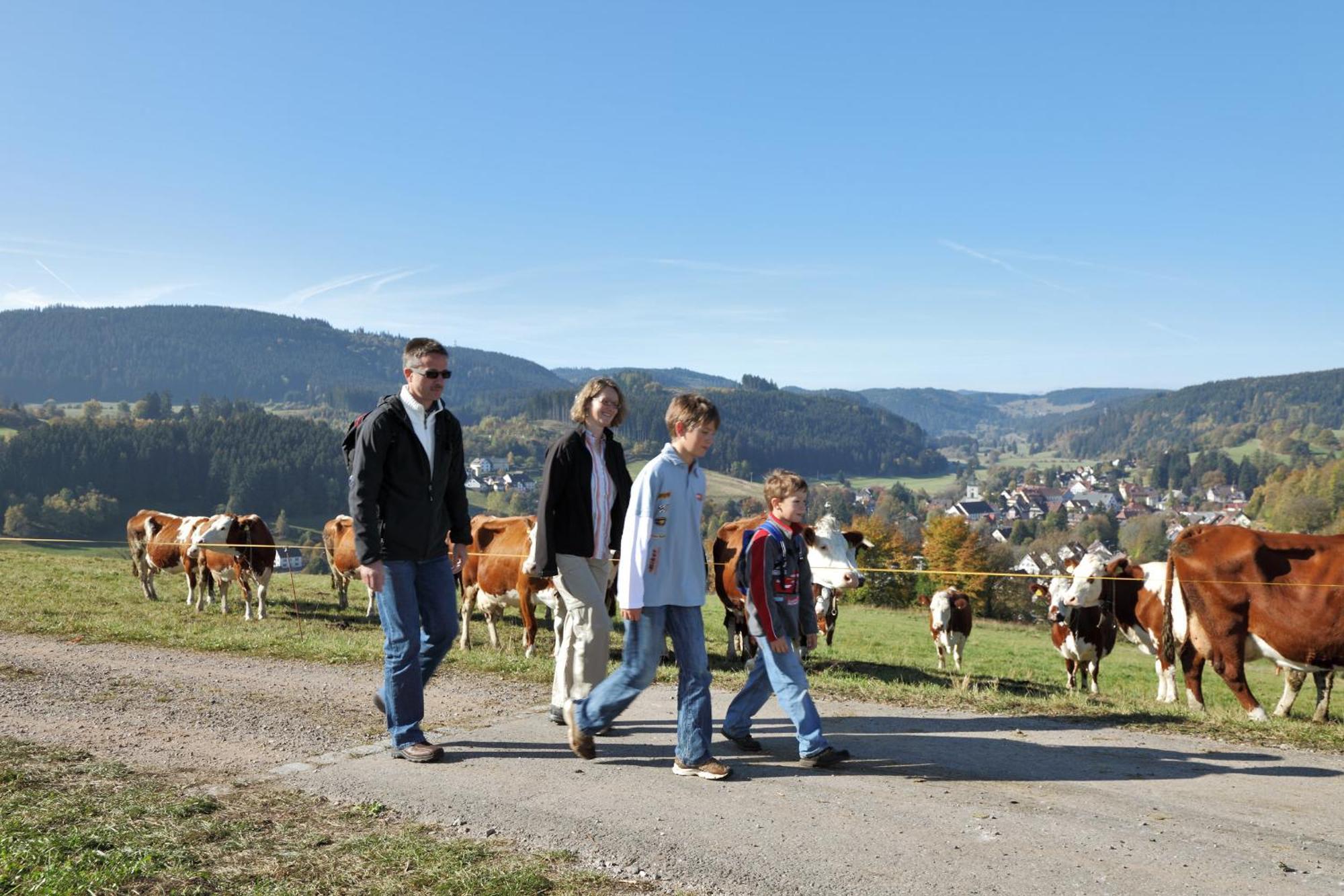 Waldwinkel Lenzkirch