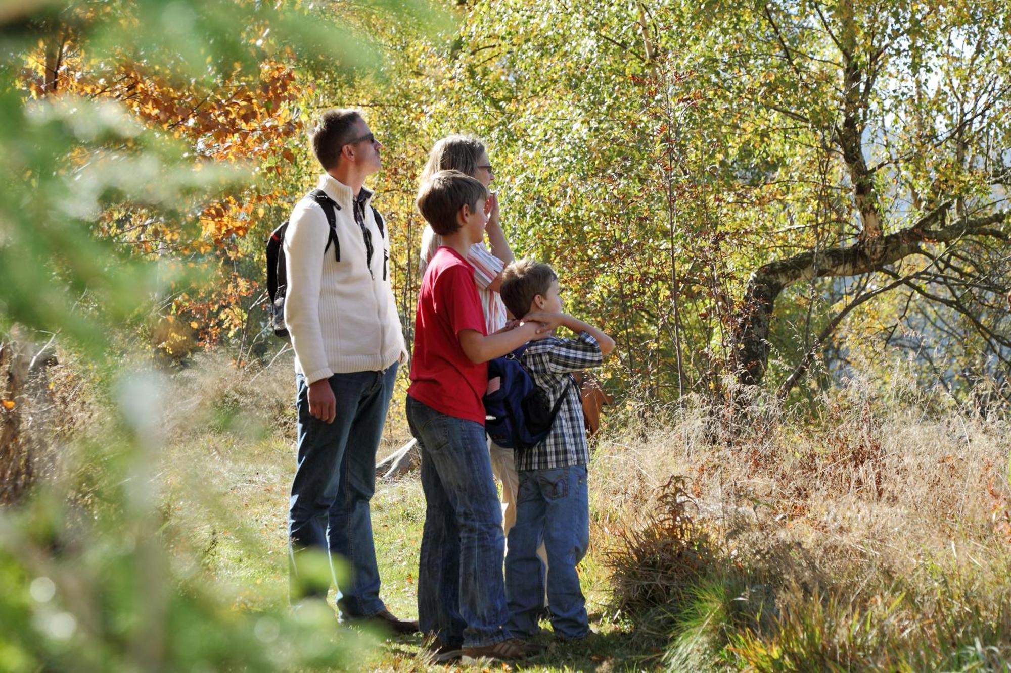 Affittacamere Waldwinkel Lenzkirch